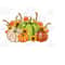 3110202394411-fall-pumpkins-png-western-pumpkins-png-pumpkin-clip-art-image-1.jpg