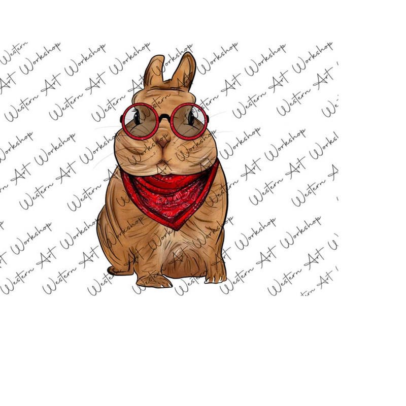 31102023102151-cute-bunny-rabbit-with-glasses-png-design-cute-bunny-image-1.jpg