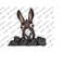 31102023102250-watercolor-donkey-sublimation-png-donkey-png-donkey-donkey-image-1.jpg