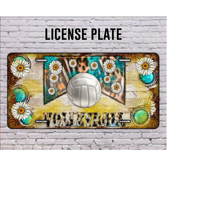 31102023102548-volleyball-license-plate-volleyball-license-plate-png-daisy-image-1.jpg