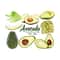 31102023103250-avocado-clip-art-avocados-clipart-download-vegetarian-vegan-image-1.jpg
