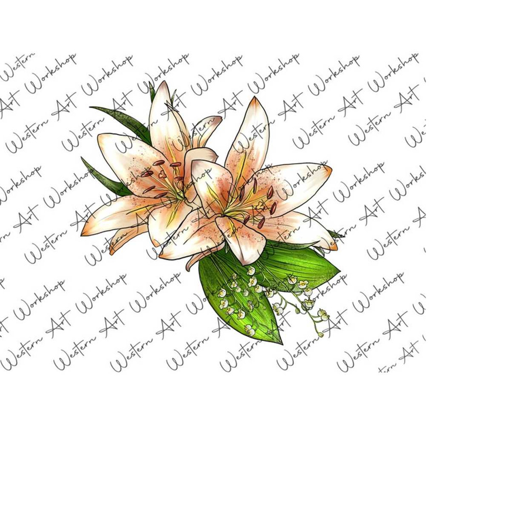 31102023105154-white-lily-sublimation-png-lily-watercolor-illustration-image-1.jpg
