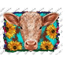 Western Baby Calf Background Sublimation Png,Sunflower Turquoise Png,Baby Calf Png,Calf Png,Heifer Cow Png,Farm Animals Png,Digital Download