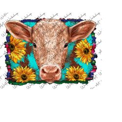 western baby calf background sublimation png,sunflower turquoise png,baby calf png,calf png,heifer cow png,farm animals png,digital download