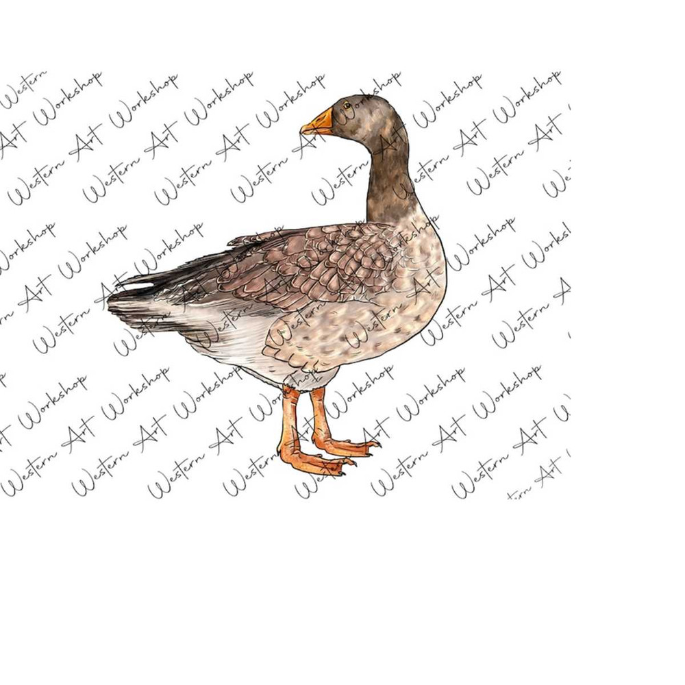 31102023111913-goose-sublimation-png-goose-png-sublimation-design-goose-image-1.jpg