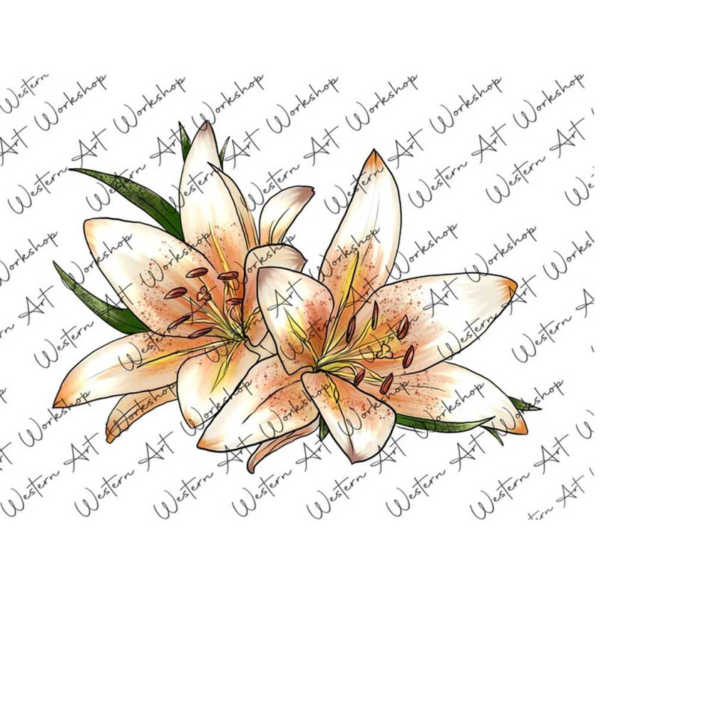 31102023112341-white-lily-sublimation-png-lily-watercolor-illustration-image-1.jpg
