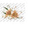 31102023112341-white-lily-sublimation-png-lily-watercolor-illustration-image-1.jpg