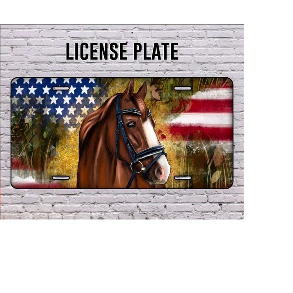 3110202311317-horse-license-plate-png-america-png-camouflage-american-image-1.jpg
