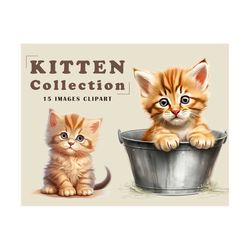 kitten clipart - 15 high quality pngs - digital download - card making, clip art, digital paper craft
