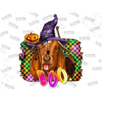 goat boo halloween png, halloween png, goat png, boo png, halloween pumpkin png, halloween design, witch hat png, digita