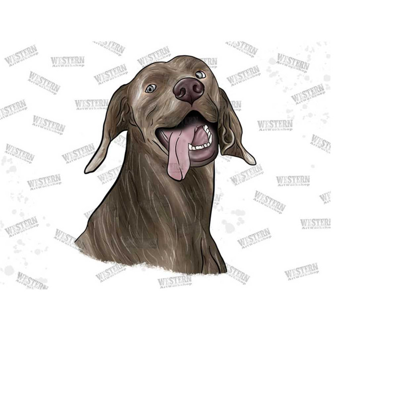 MR-31102023155155-watercolor-weimaraner-sublimation-png-love-weimaraner-png-image-1.jpg