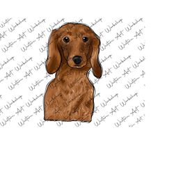 Dachshund Dog Sublimation Design, Handdrawn Dachshund Png, Dachshund Dog Png, Dachshund Png, Instant Download, Sublimation Design