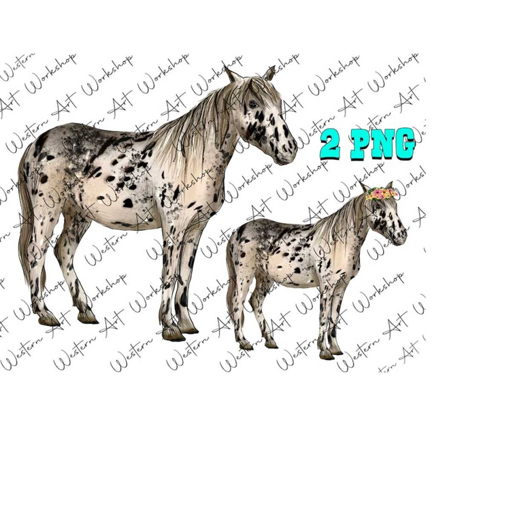 31102023165253-appaloosa-horse-png-horse-png-horse-png-sublimation-design-image-1.jpg
