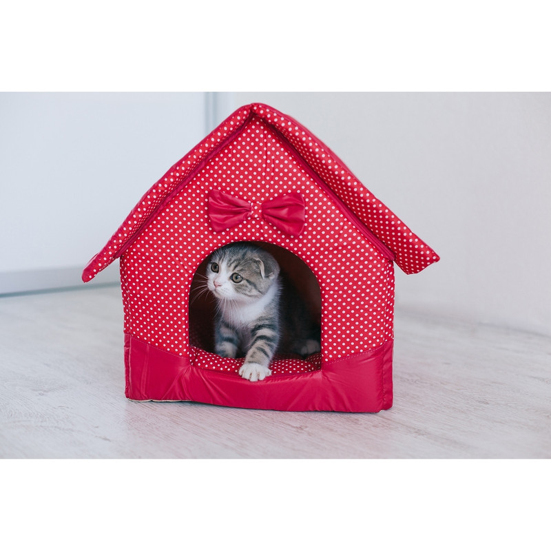 1600 - 2023-10-31T141444.926.jpg