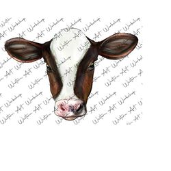 holstein calf face png, holstein cow png sublimation design, hand drawn cow png, holstein portrait png, holstein png, fa