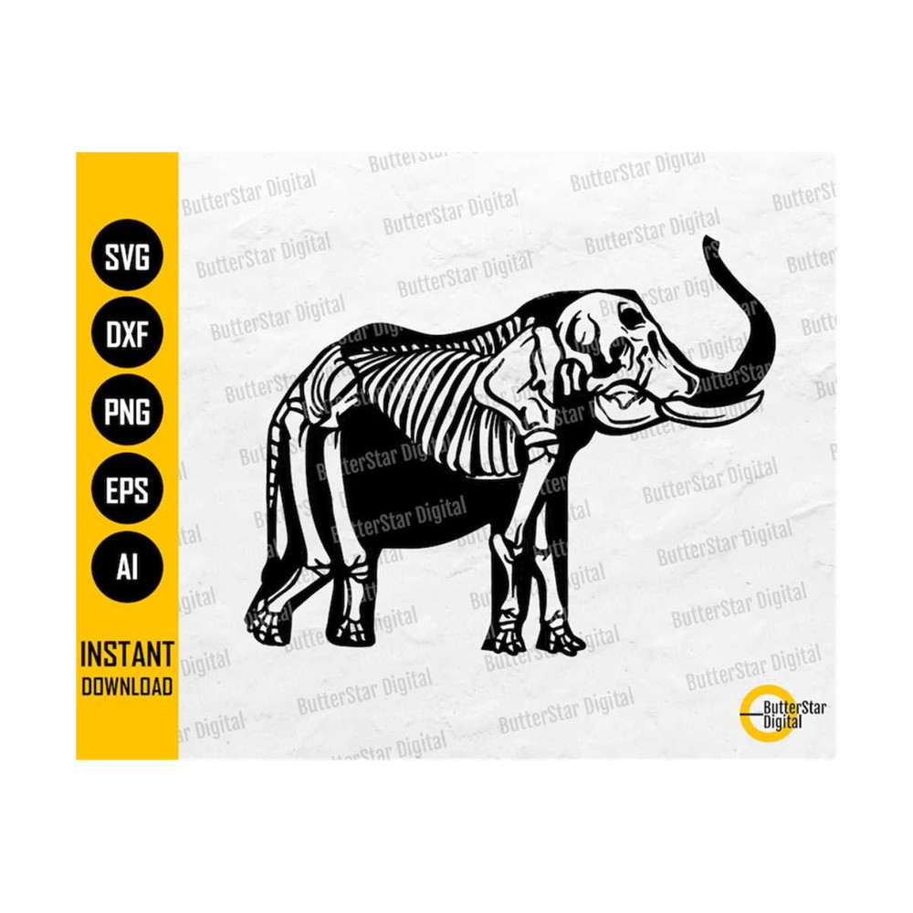 31102023183648-elephant-skeleton-svg-animal-bones-svg-wildlife-vinyl-image-1.jpg
