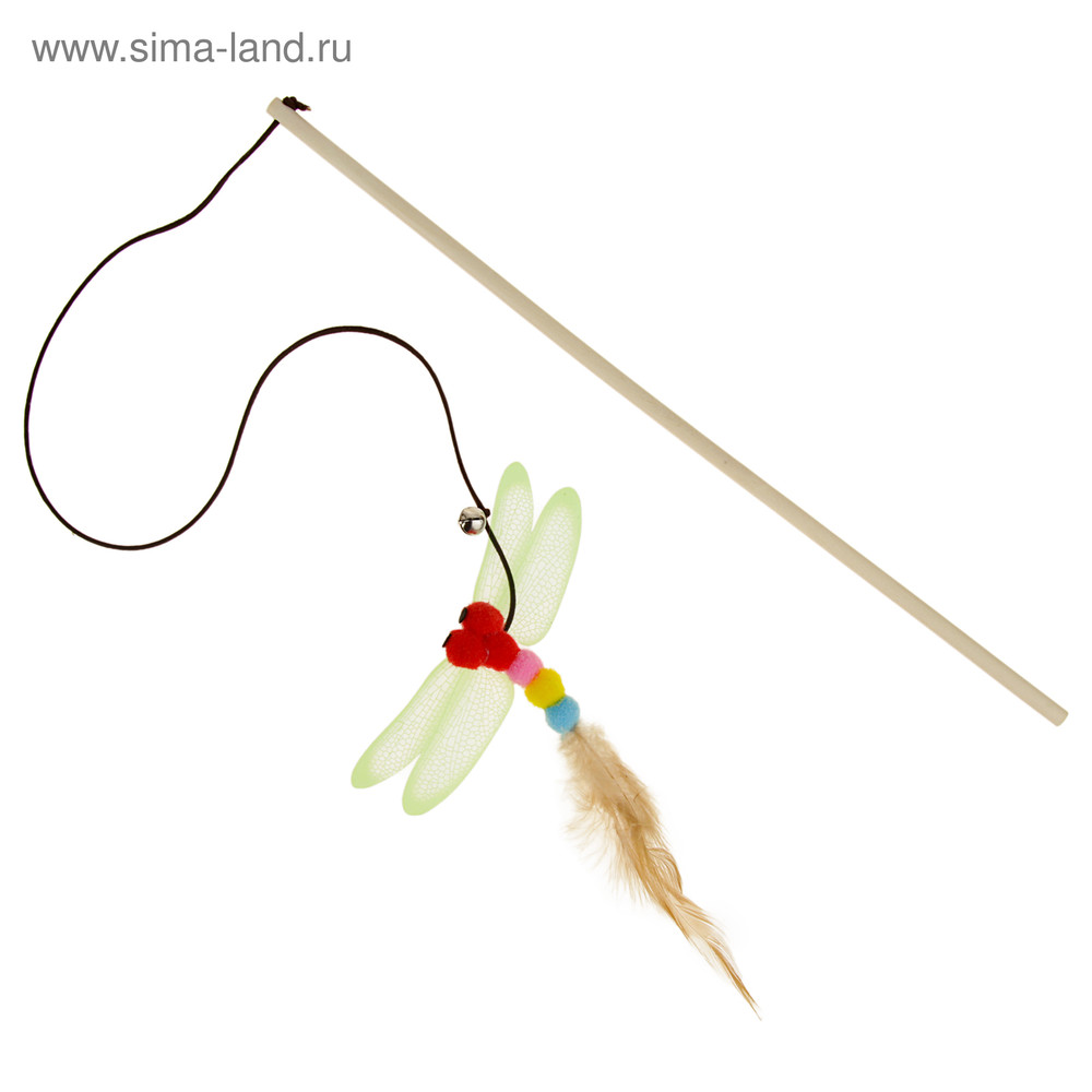 1600 - 2023-10-31T155009.702.jpg