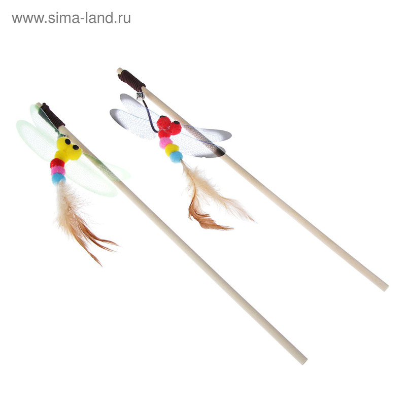 1600 - 2023-10-31T155012.811.jpg