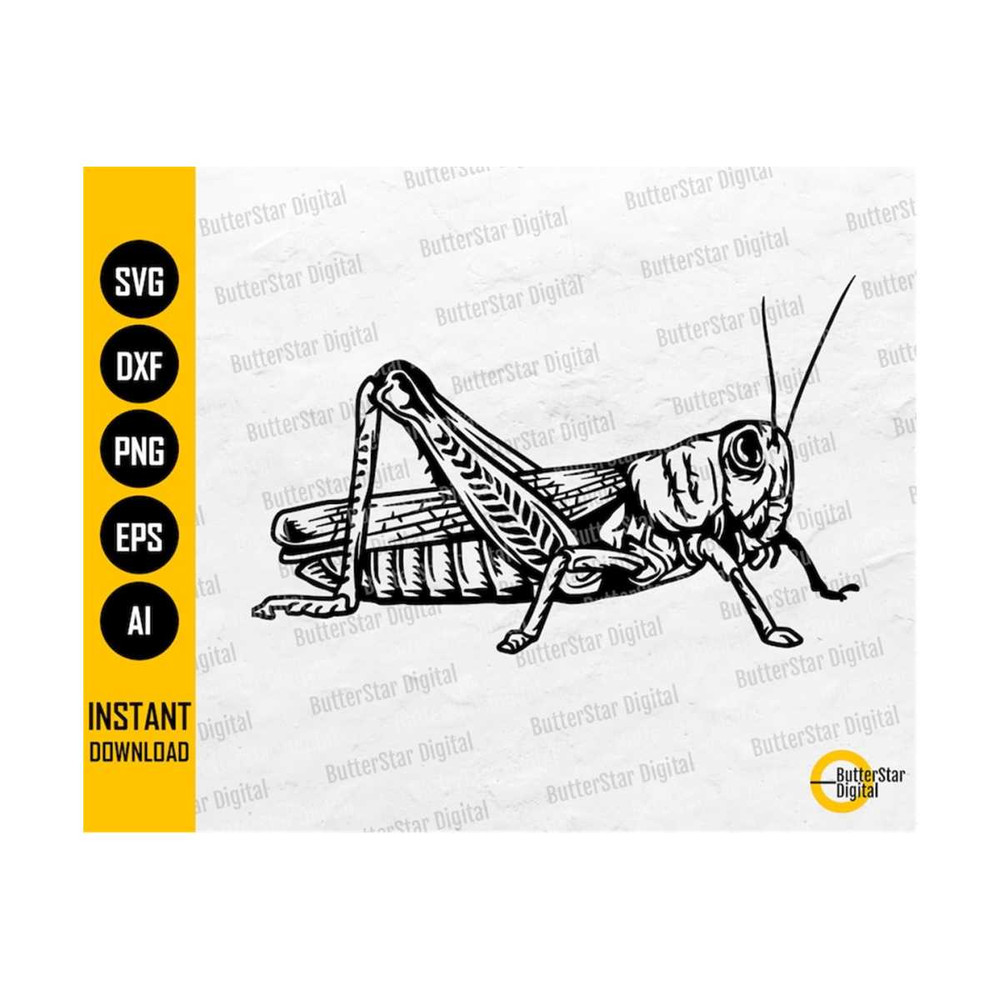 3110202319596-grasshopper-svg-bug-svg-insect-svg-nature-grass-lawn-image-1.jpg