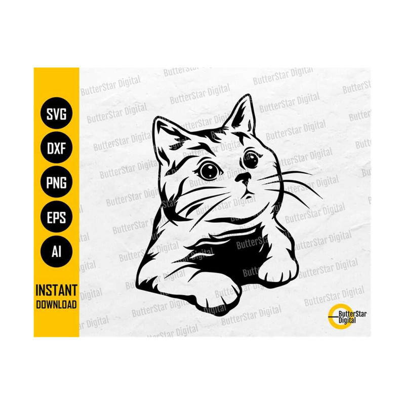 31102023203439-curious-cat-svg-wondering-kitten-svg-peeking-pet-animals-image-1.jpg