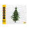 31102023212822-cannabis-christmas-tree-svg-marijuana-svg-weed-shirt-gift-image-1.jpg