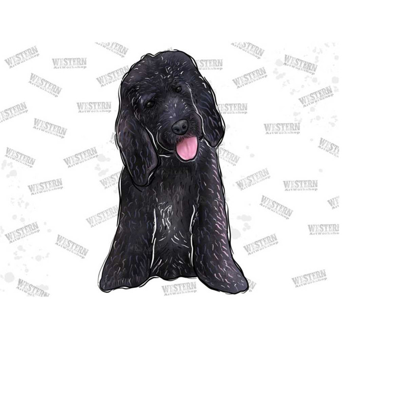 MR-11120231199-black-poodle-sublimation-png-toy-poodle-dog-png-hand-drawn-image-1.jpg