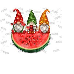 watermelon gnomes png, summer gnomes design png, gnome png, watermelon gnomes, watermelon gnomes design, summer watermelon sublimation png