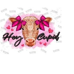 hey cupid cow png sublimation design,happy valentine's day png,valentine day png,hey cupid png,cow love png,cow png,cupid,digital download