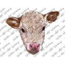 baby calf png, hand drawing heifer calf png sublimation design, calf png, baby cow png, heifer png, farm animals png, sublimation design