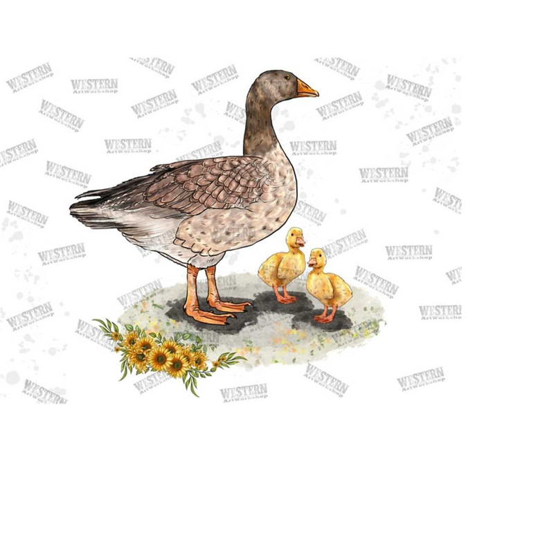 11120239427-duck-sublimation-baby-duck-png-baby-duck-png-sunflower-png-image-1.jpg