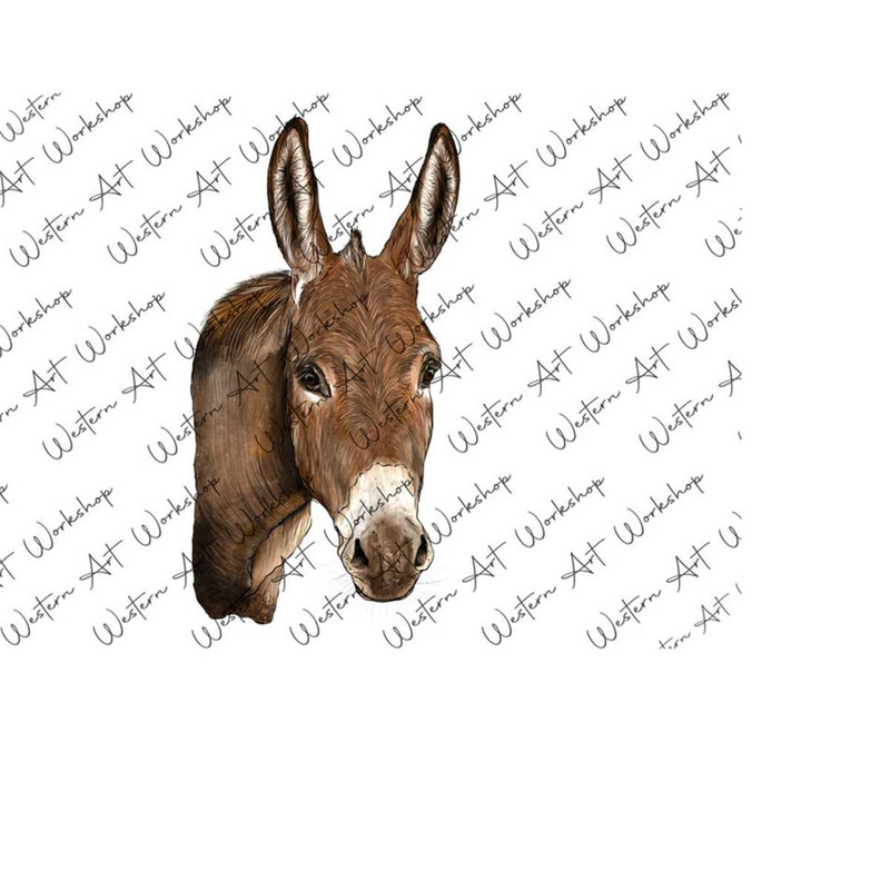 111202391956-donkey-sublimation-png-donkey-portrait-png-hand-drawn-donkey-image-1.jpg