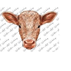 Western Baby Calf Png, Hand Drawing Heifer Calf PNG, Farm Cow png, Animals Png Design Downloads, Farm Animals Design, Farm Png Design
