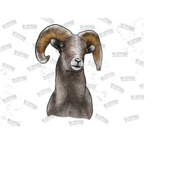 western goat png, goat sublimation, goat png, western goat design,animal png, goat sublimation design, digital download, sublimation png