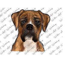 boxer dog sublimation design, boxer png, watercolor boxer png, cute boxer png, clipart boxer png, hand drawing boxer sublimation design