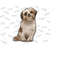 111202395250-watercolor-shih-tzu-sublimation-png-love-shih-tzu-png-cute-image-1.jpg