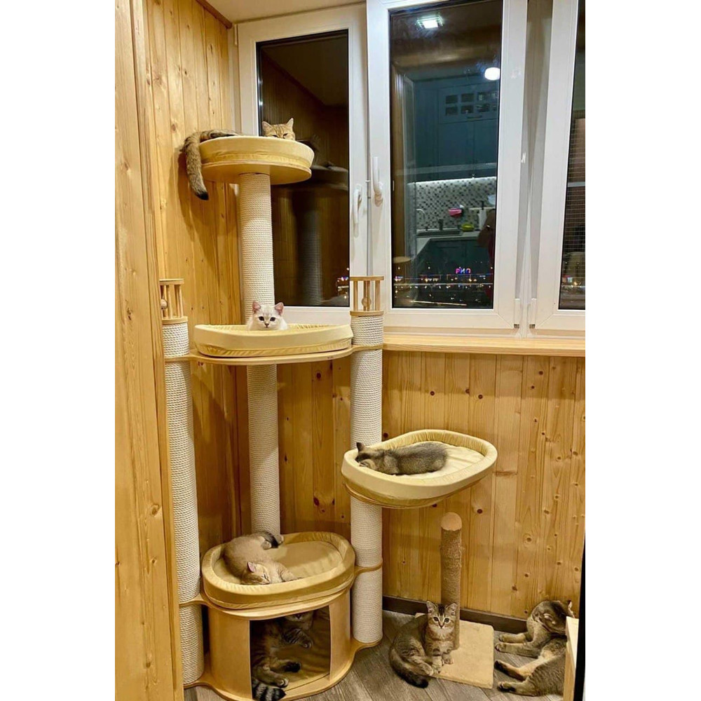 photo_2021-09-11_20- (1).jpg