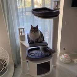 claw house good-2 (138 cm)