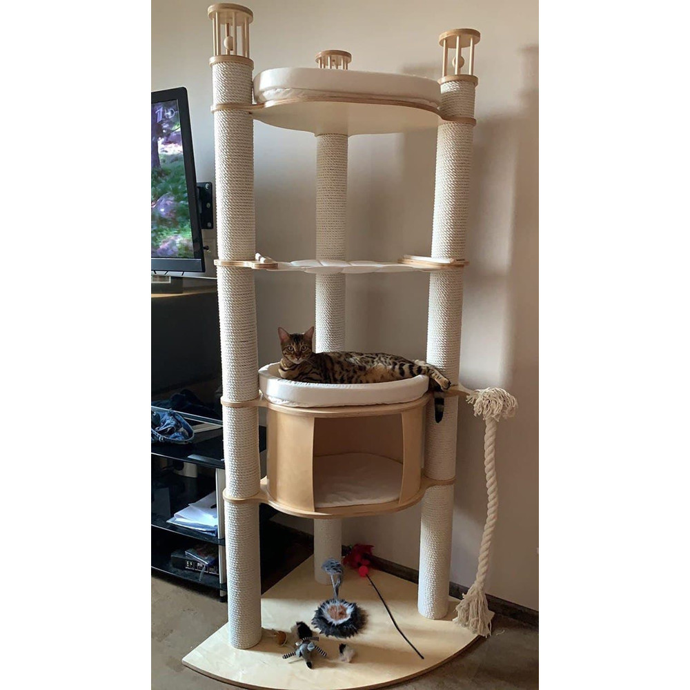 photo_2021-09-13_10- (3).jpg