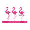 1112023141114-flamingo-svg-flamingo-monogram-svg-flamingo-png-flamingo-image-1.jpg