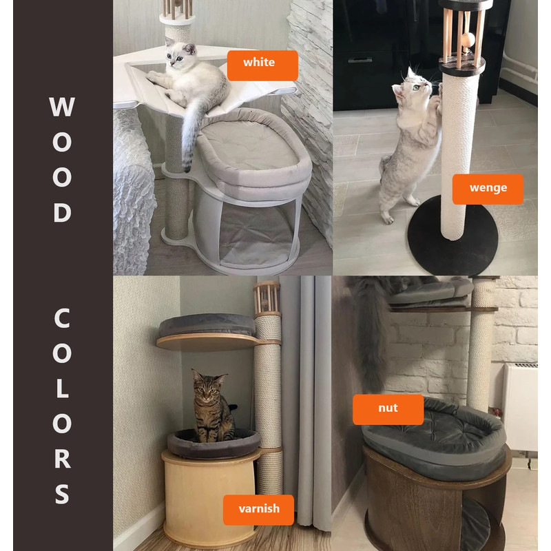 цвета дерева.jpg