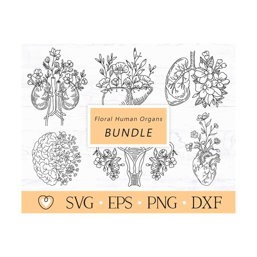 1112023145431-floral-human-organs-svg-bundle-brain-svg-anatomical-heart-image-1.jpg