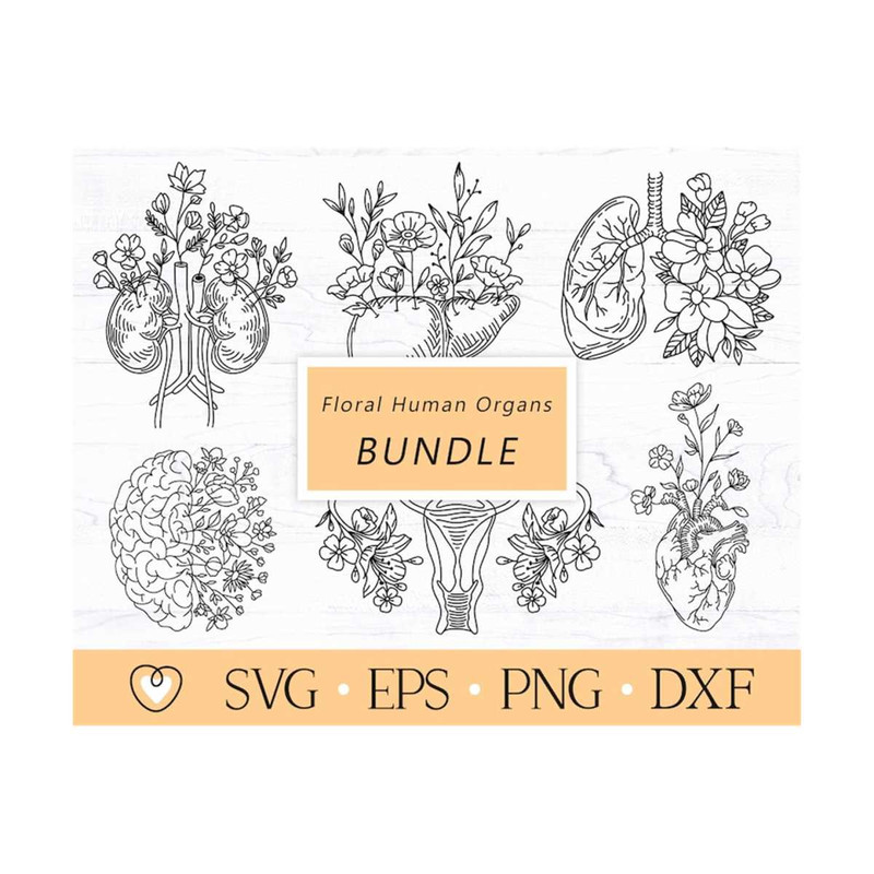 1112023145431-floral-human-organs-svg-bundle-brain-svg-anatomical-heart-image-1.jpg