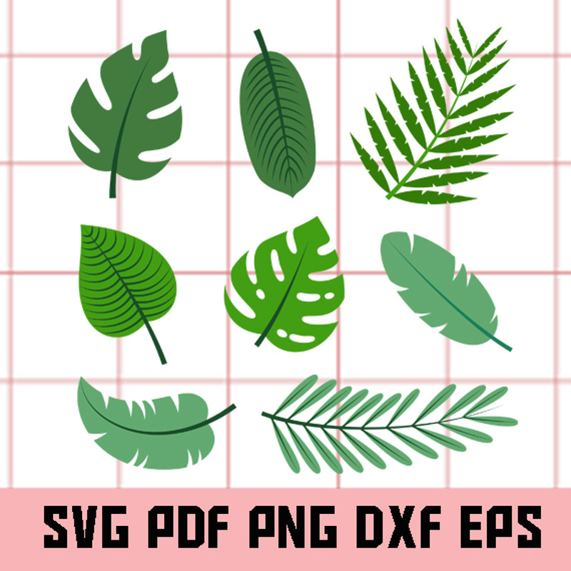 Tropical leaves svg.jpg