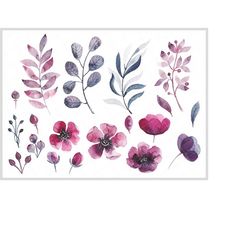 watercolor floral clipart, set of watercolor floral, wedding, individual png files, watercolor floral decorations clipar
