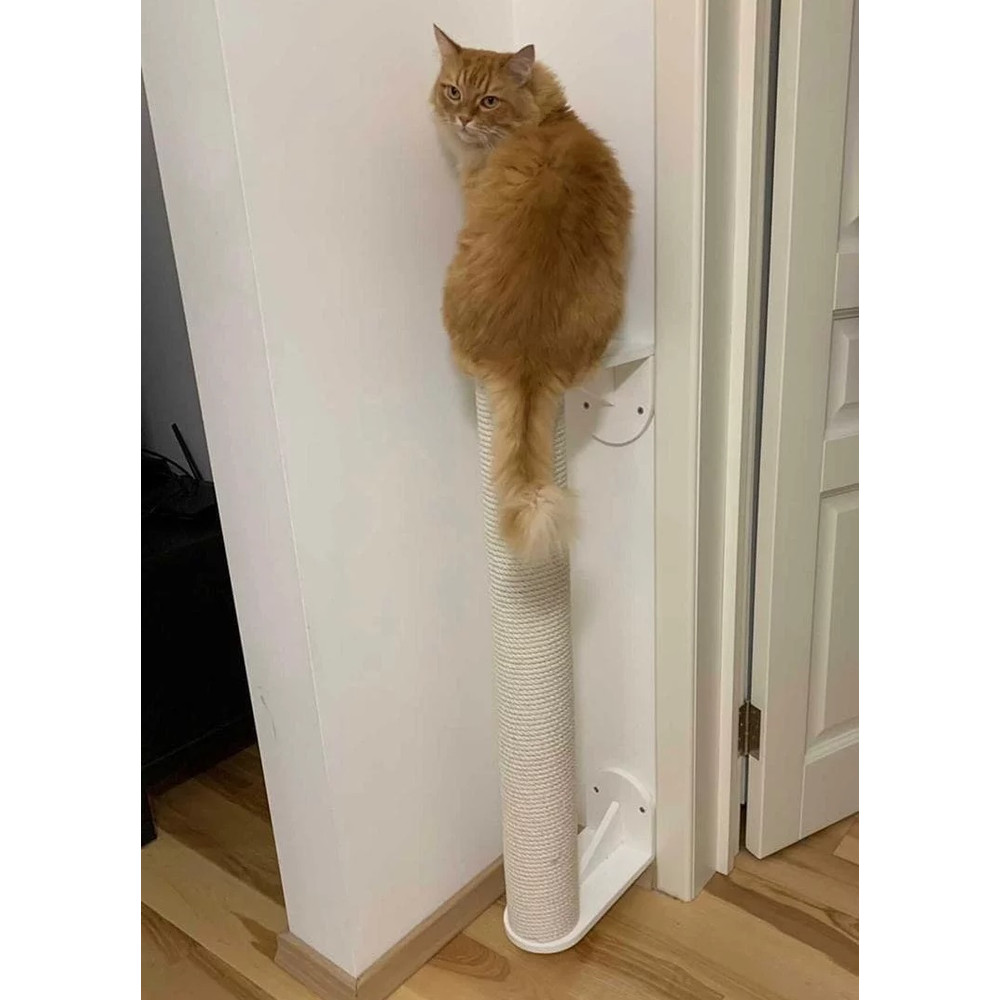 photo_2021-09-13_11- (1).jpg