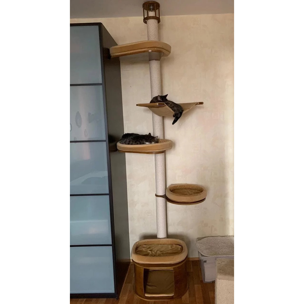 photo_2021-09-13_11- (2).jpg