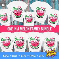one in a melon svg bundle, watermelon birthday svg, one in a melon family bundle, summer svg, watermelon svg, birthday party matching shirts