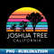 MT-20231101-13585_Joshua Tree Desert Vintage Retro Outdoors Camping California 5406.jpg