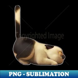 machiavelli pouncing luca cat - premium sublimation digital download - perfect for sublimation art