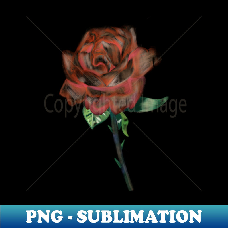 ND-20231101-18562_Peach Rose illustration 1791.jpg
